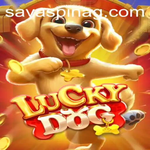 Exploring the Excitement of LuckyDog – An Insider Look into the Game and 2288.bet